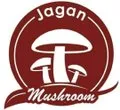Jagan Mushroom